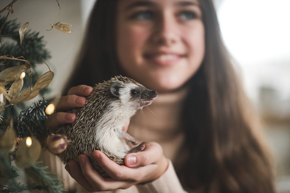 Photograph by Александра Судьбина