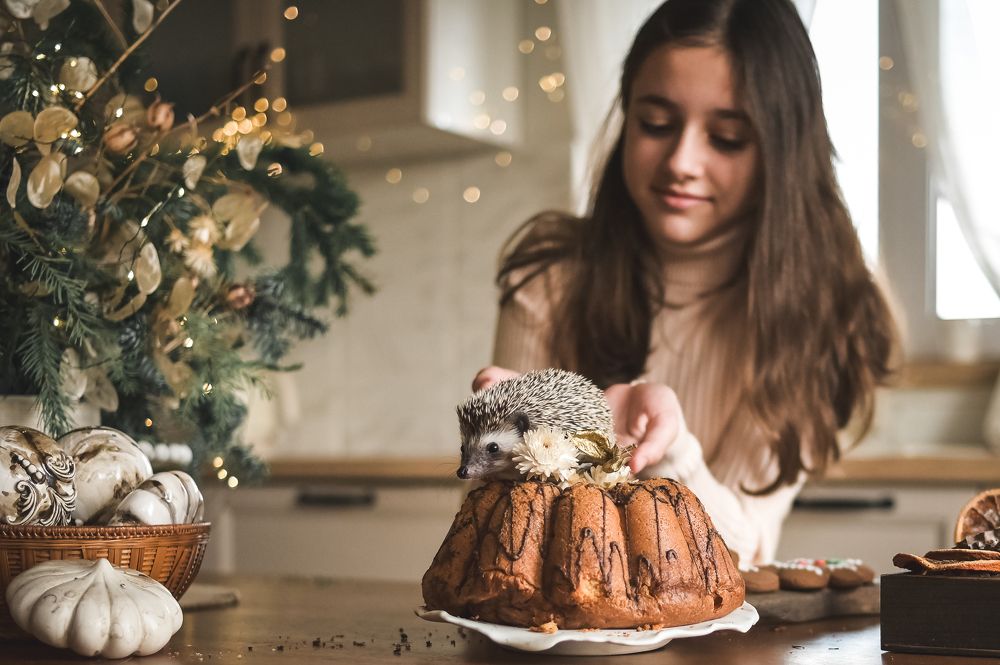 Photograph by Александра Судьбина