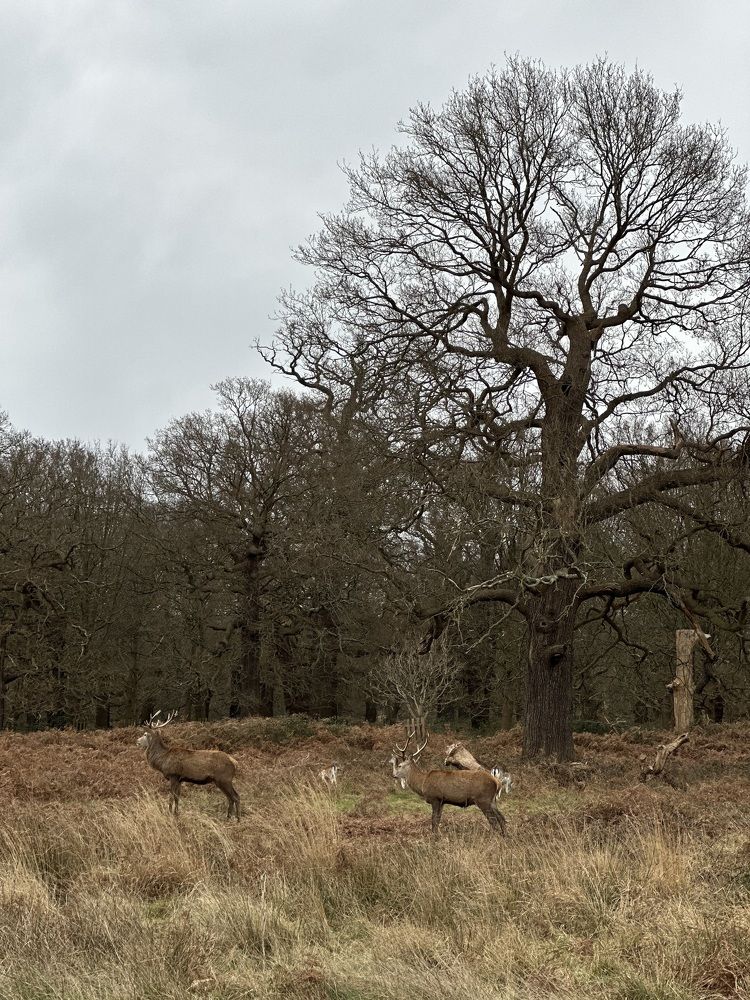 Photograph by Светлана Ионова