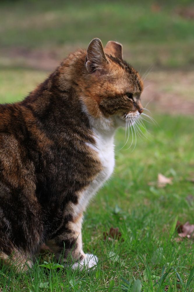 Photograph by Igors Rostikovs