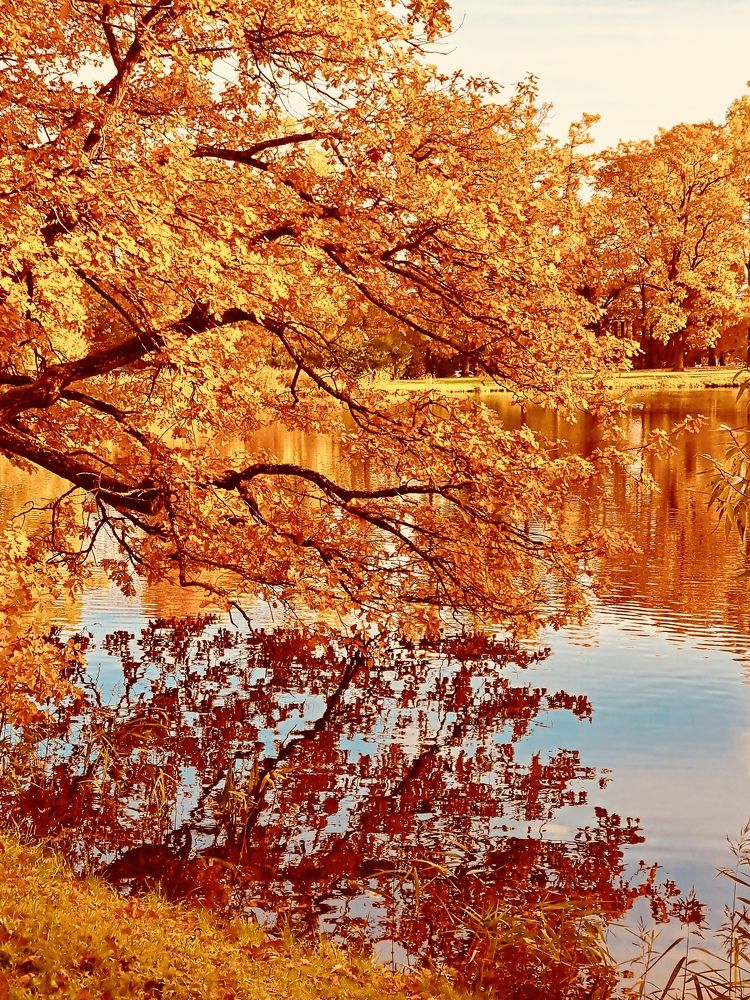 Photograph by Елена Маркова