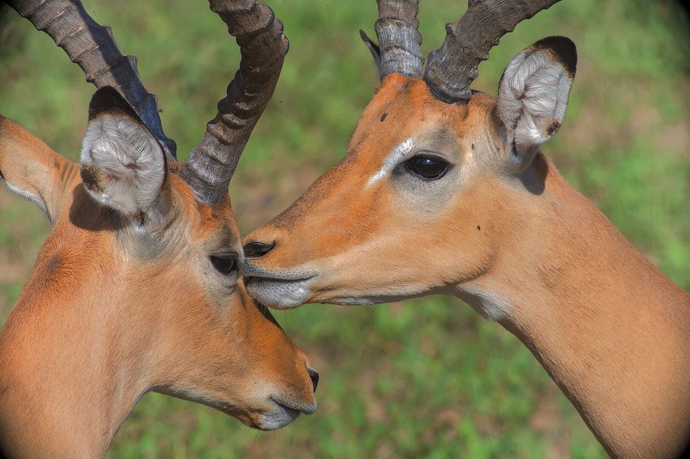 Фотография автора gagarin andrey