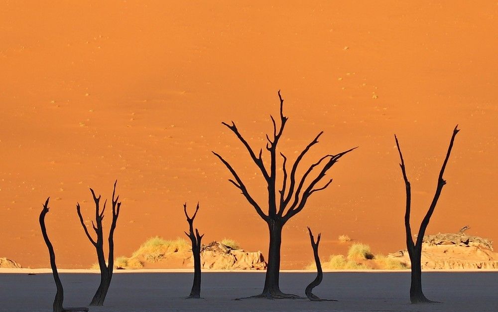 Photograph by Диана Жагрина