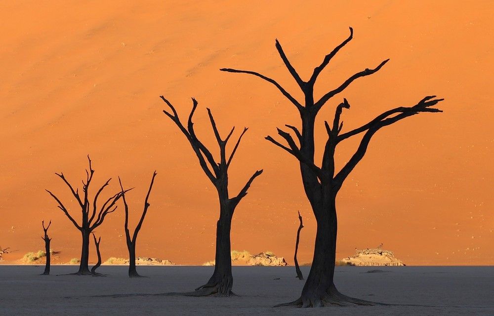 Photograph by Диана Жагрина