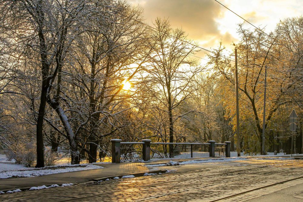 Photograph by Igors Rostikovs