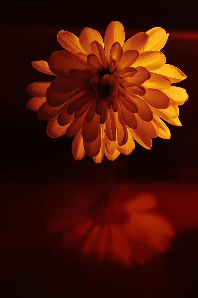 Photograph by Алёна Губинская