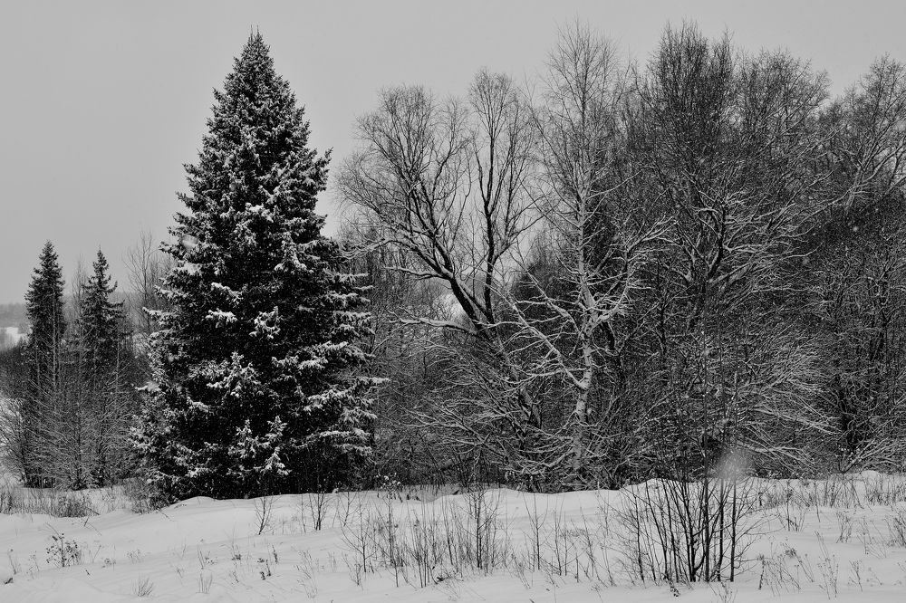 Photograph by Андрей Пляскин