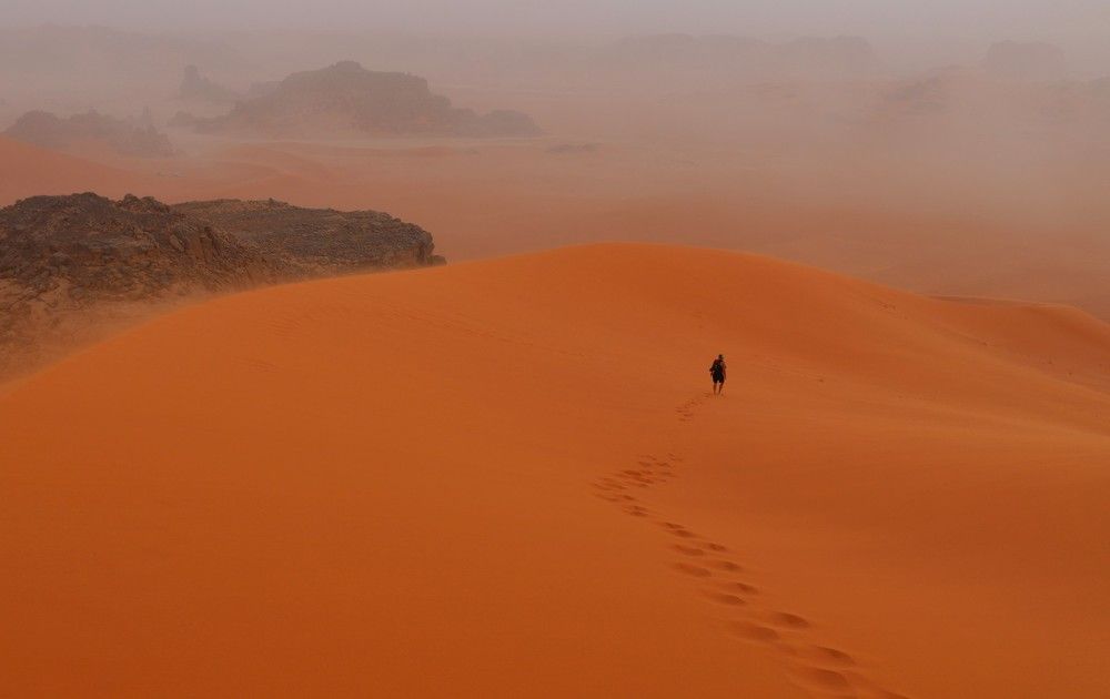 Photograph by Диана Жагрина