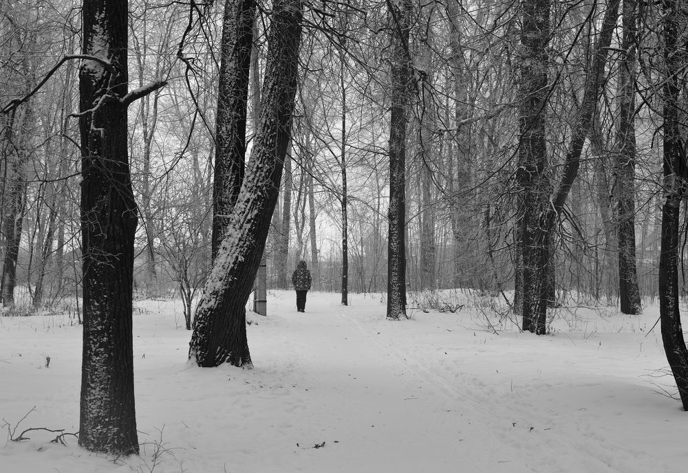 Photograph by Андрей Пляскин