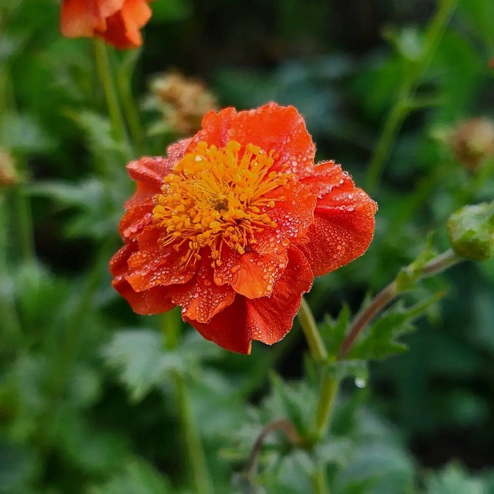 Фотография автора Татьяна Сякина