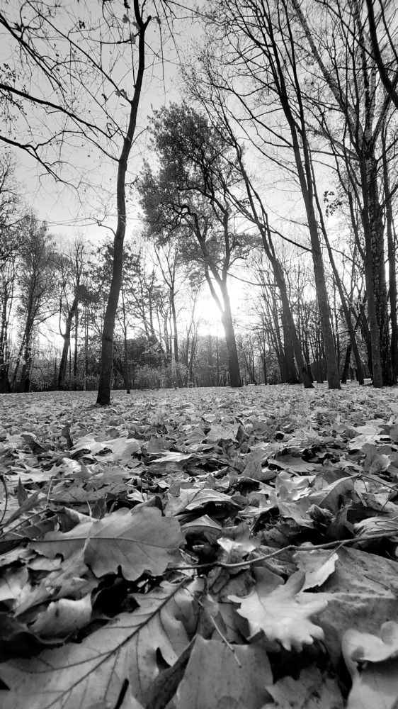 Фотография автора Максим Егоров