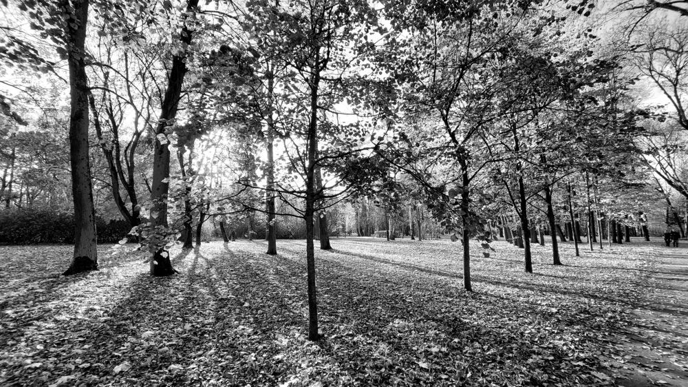 Фотография автора Максим Егоров