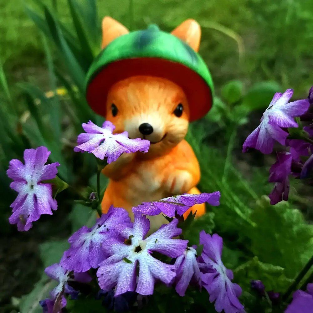 Фотография автора Татьяна Сякина