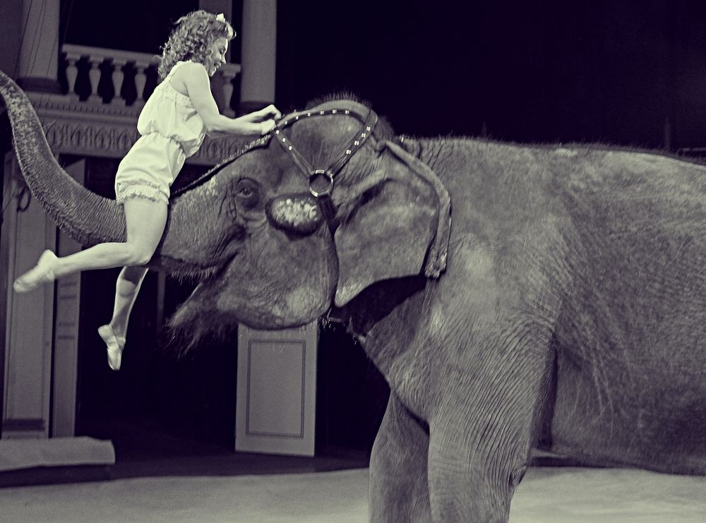 Девочка и слон