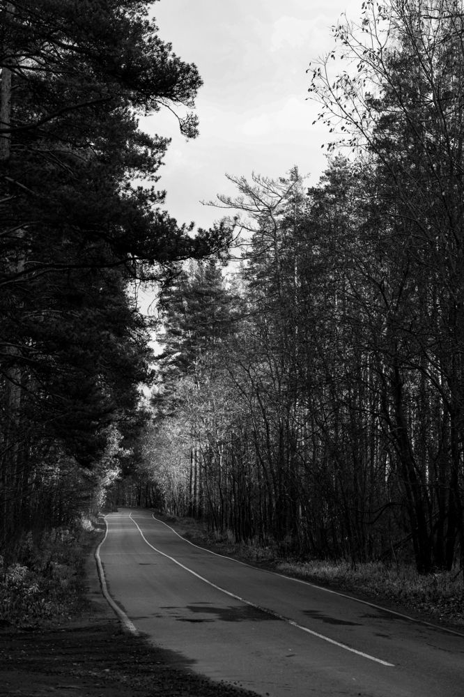 Photograph by Валерия Гуртовая