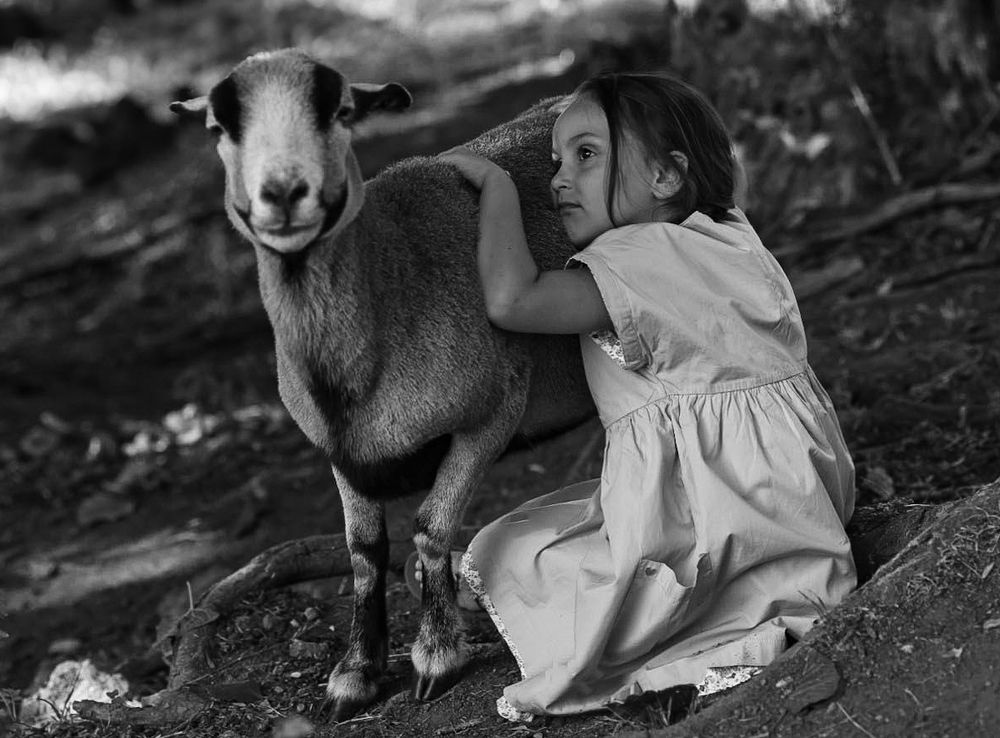 Photograph by Виктория Янушанис