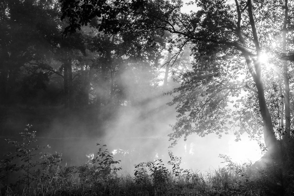 Photograph by Ольга Осинина