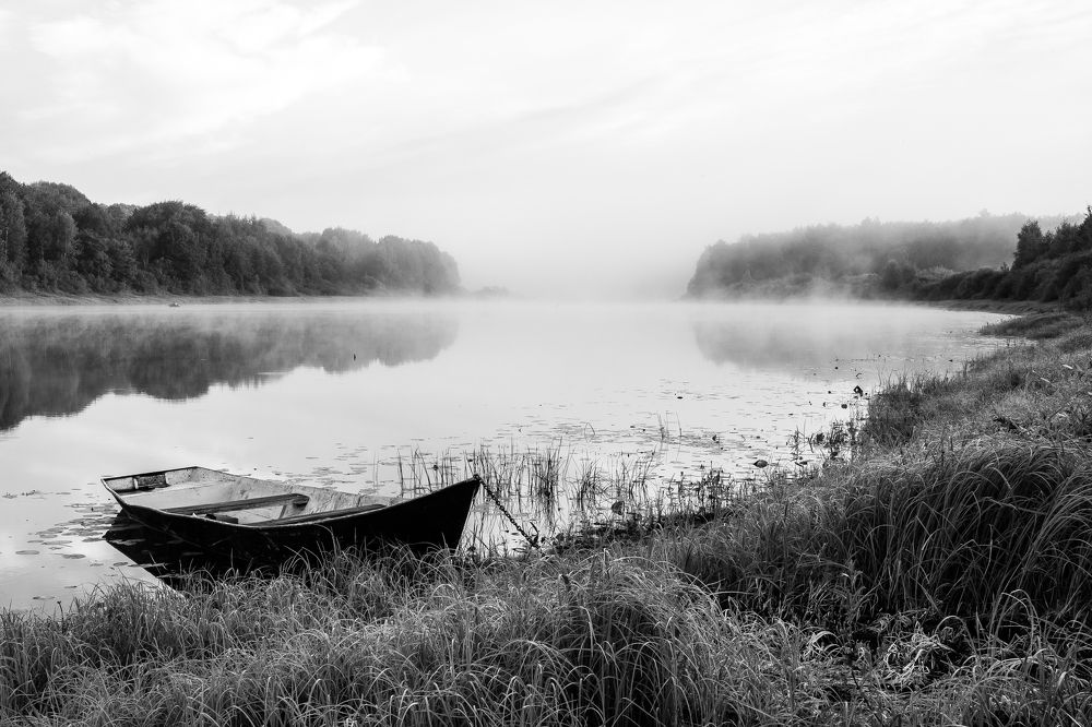 Photograph by Ольга Осинина