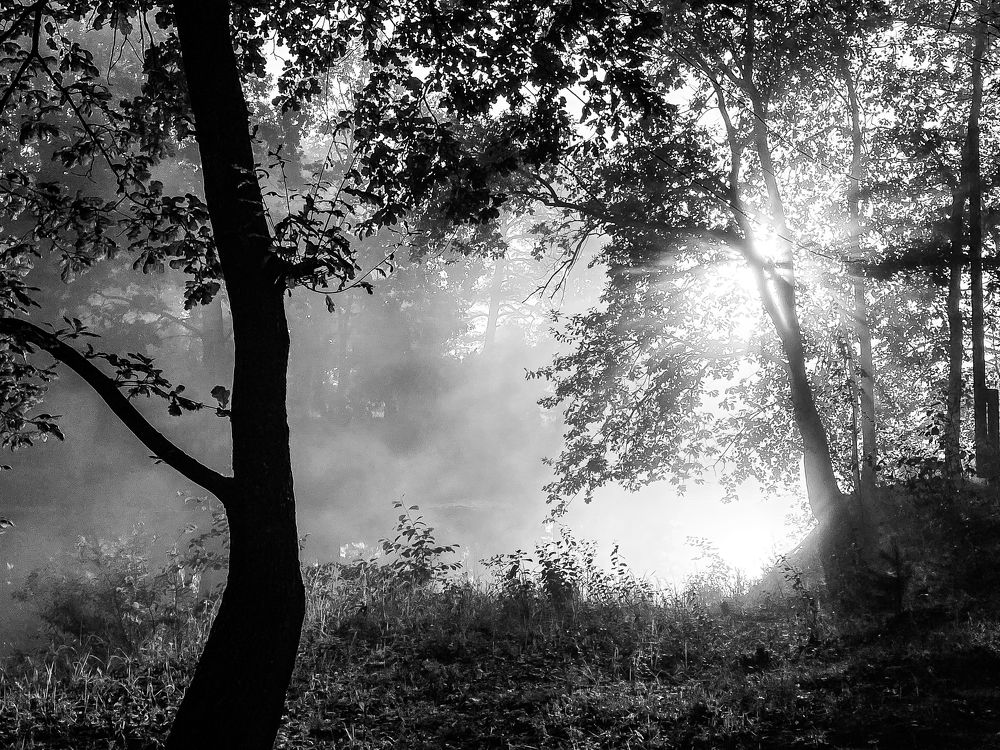 Photograph by Ольга Осинина