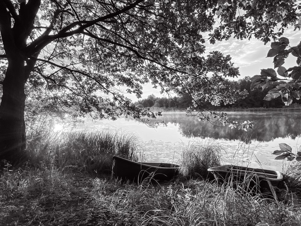 Photograph by Ольга Осинина