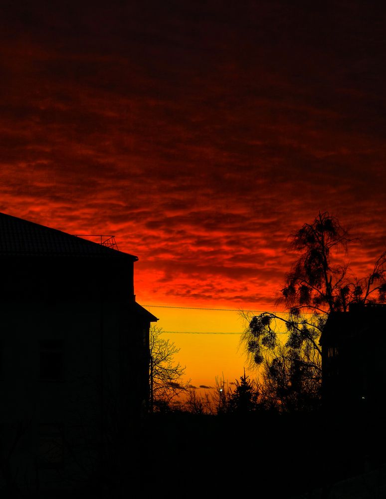 Фотография автора Любовь