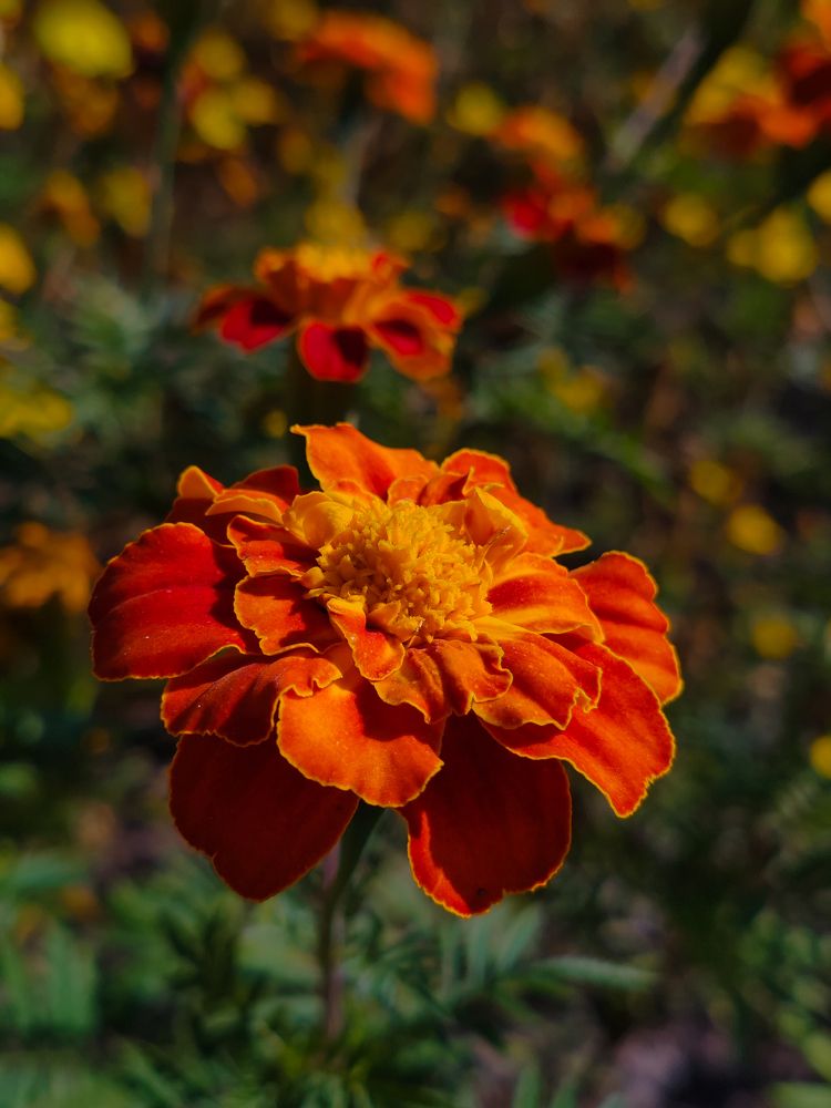 Фотография автора Любовь