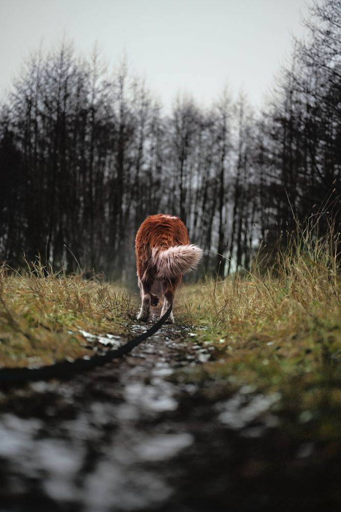 Photograph by Алексей