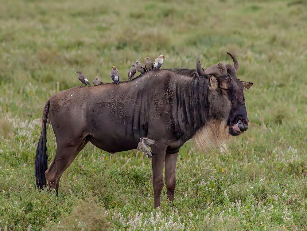 Фотография автора gagarin andrey