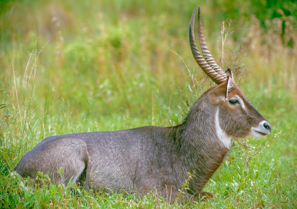 Фотография автора gagarin andrey