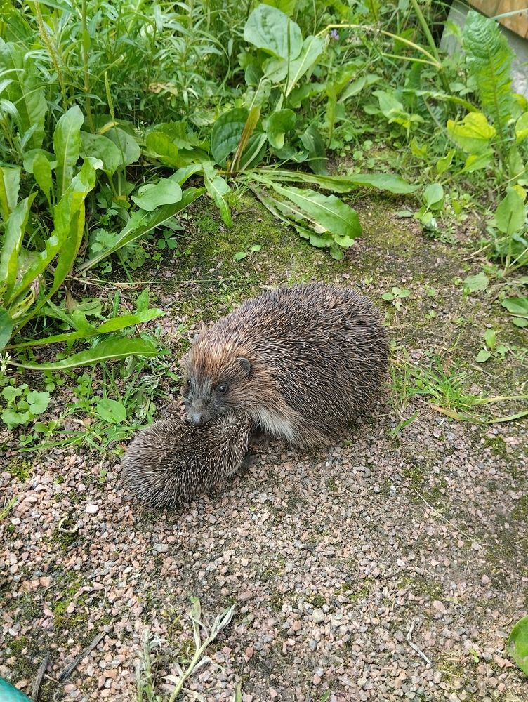 Photograph by Александр Собокарь