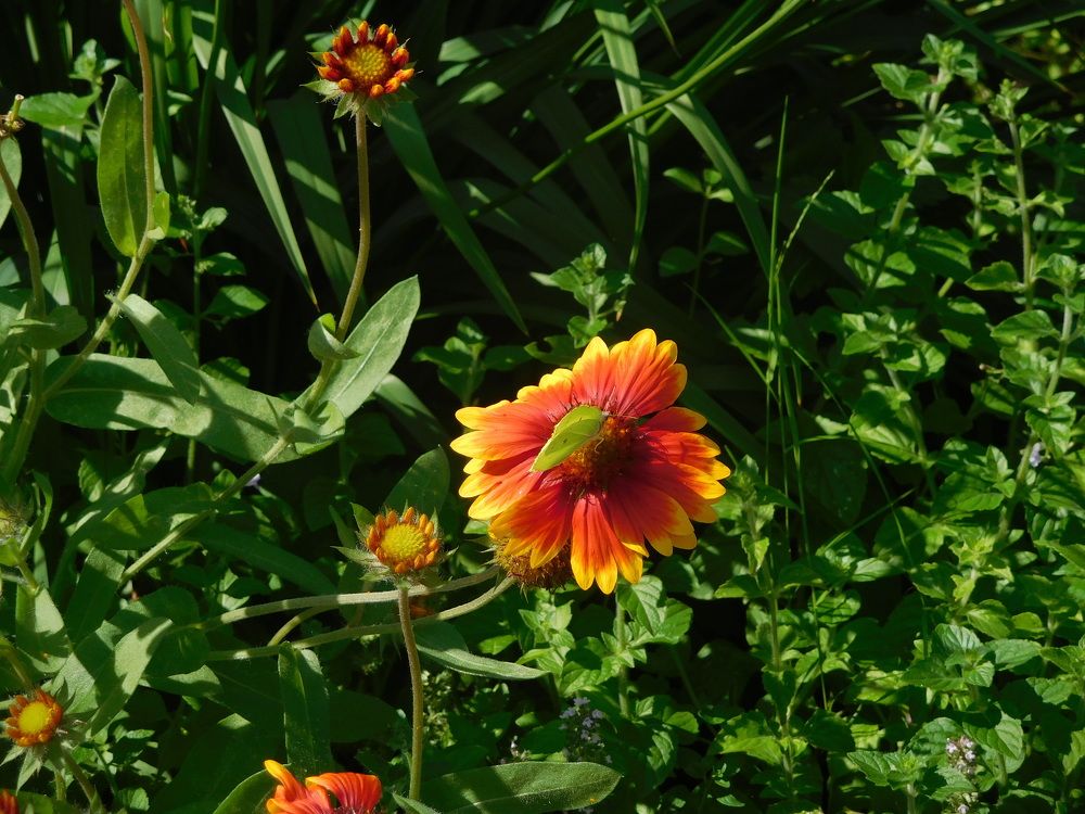 Photograph by Маша Худякова