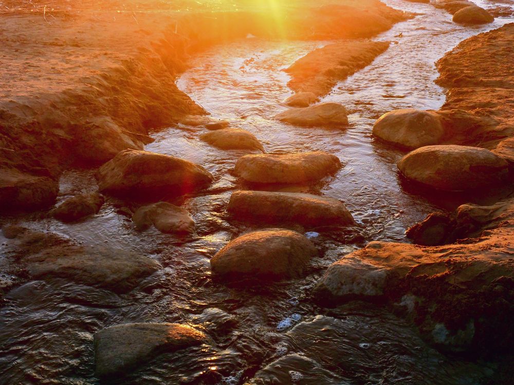 Photograph by Маша Худякова