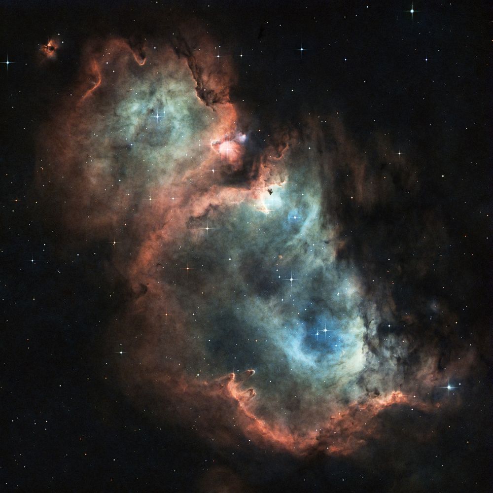 A Newborn in the Universe