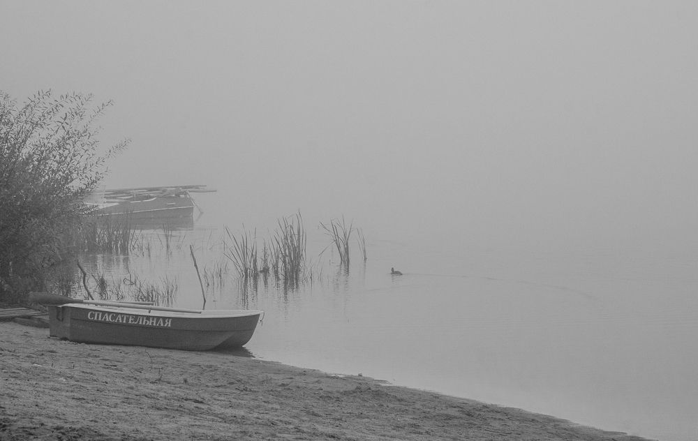 Photograph by Милена Полтавец