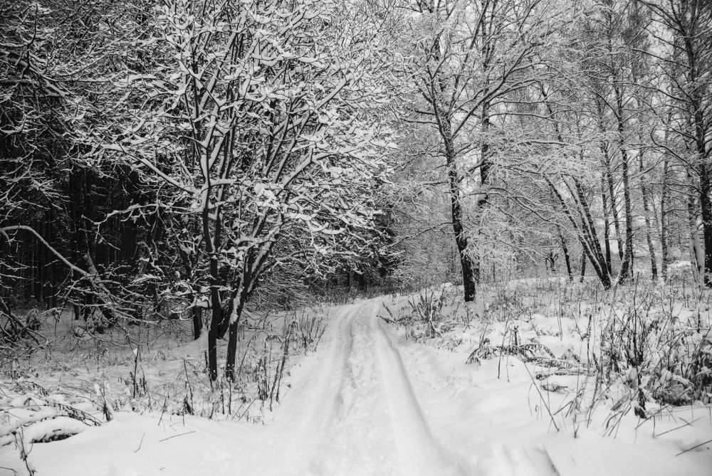 Photograph by Милена Полтавец