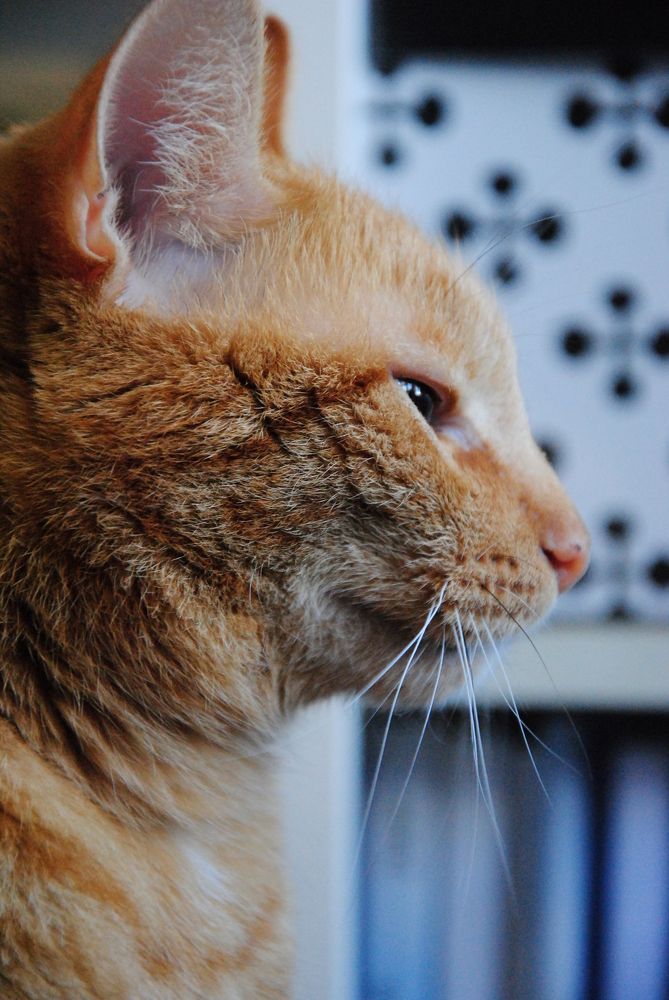 Photograph by Ольга Козлова