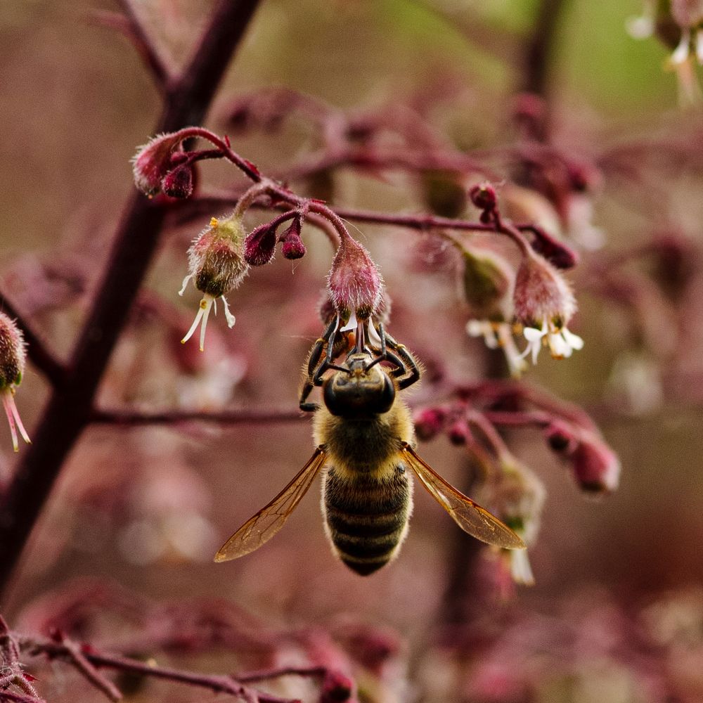 Photograph by Эльга Канашевич