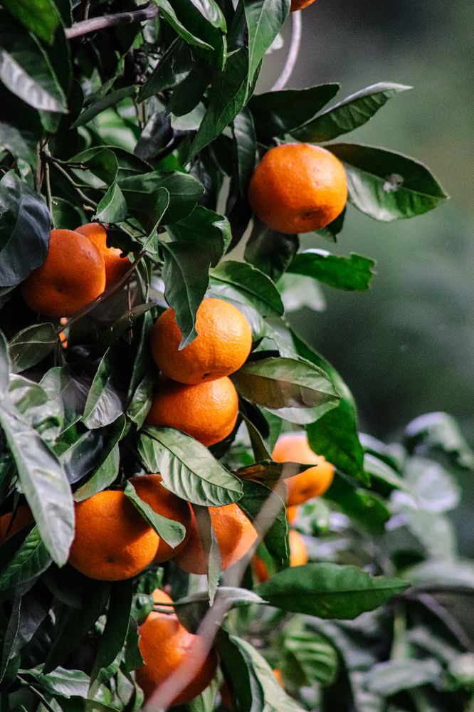 Photograph by Екатерина Нальгиева