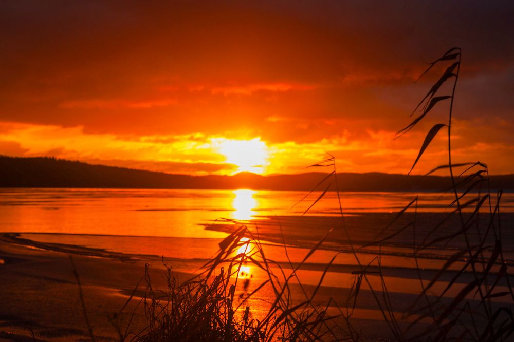 Photograph by Татьяна Петросьян