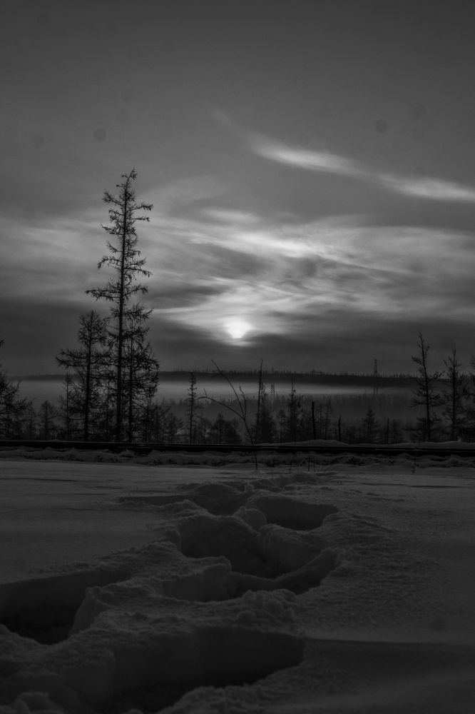 Photograph by Михаил Мархинин