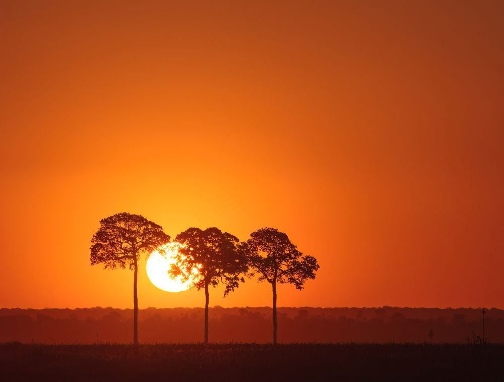 Photograph by Valdir Hobus