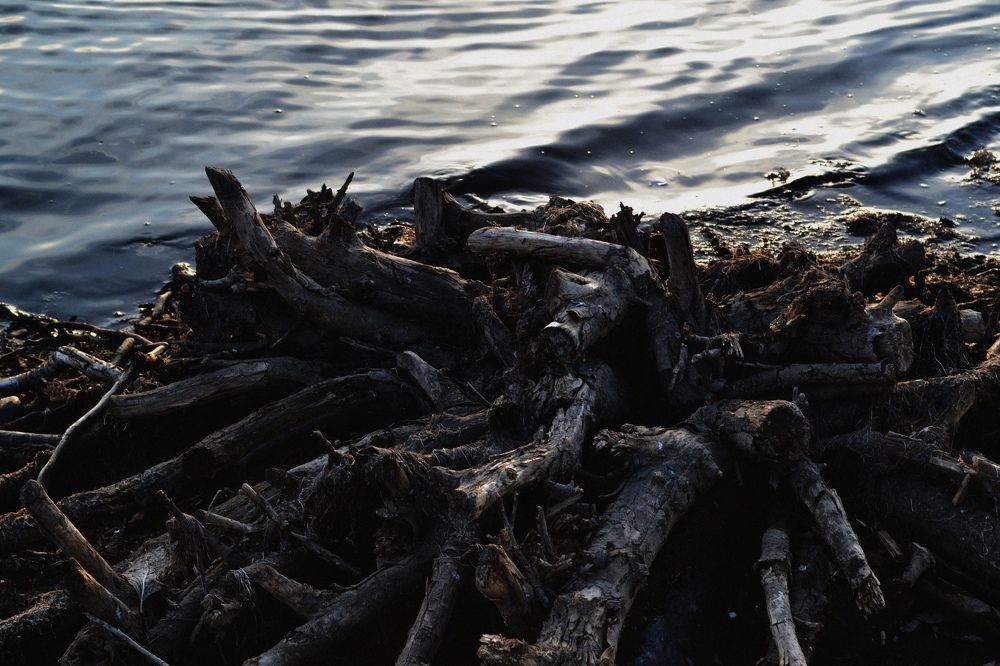 Photograph by DGTLvm