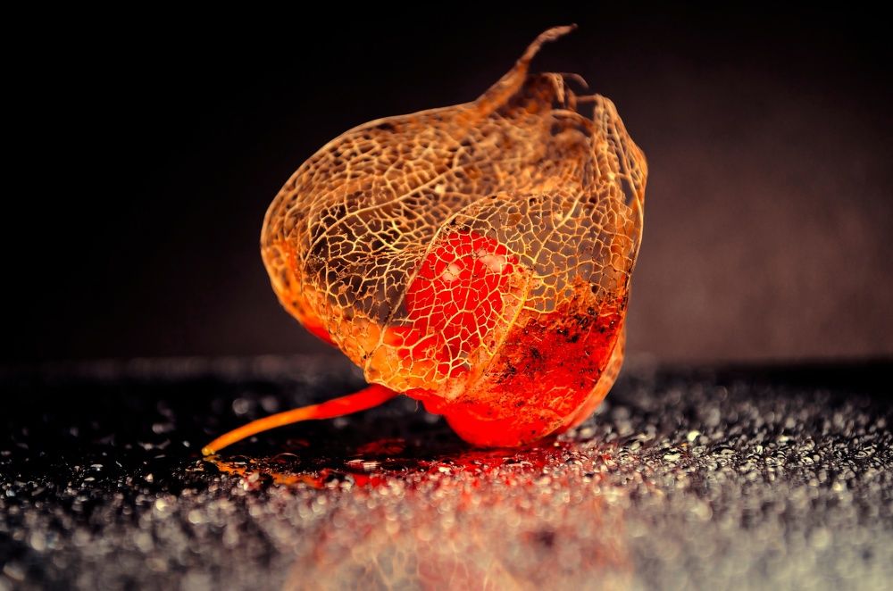 Photograph by Любовь Бусова