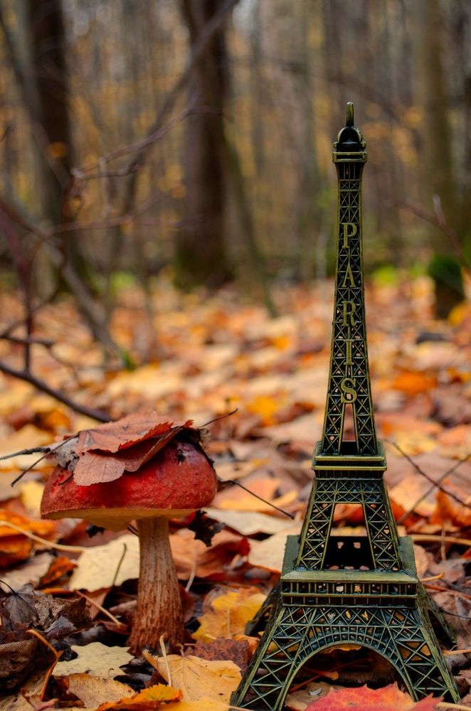 Photograph by Любовь Бусова