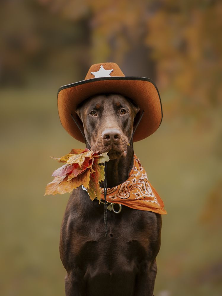 Photograph by Мария Клещенко