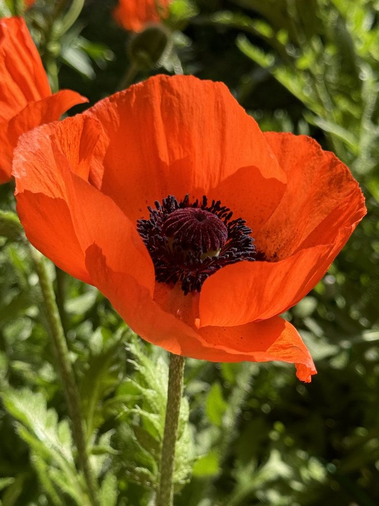 Photograph by Елена Смирнова