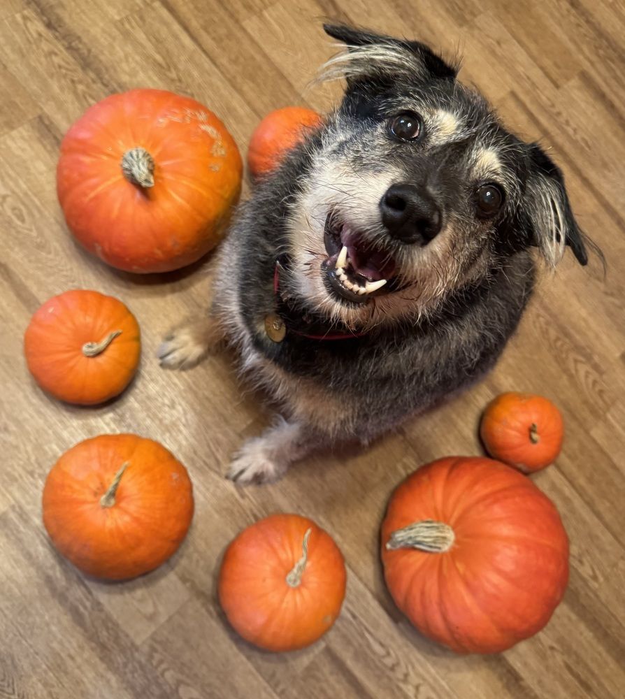 Photograph by Елена Смирнова