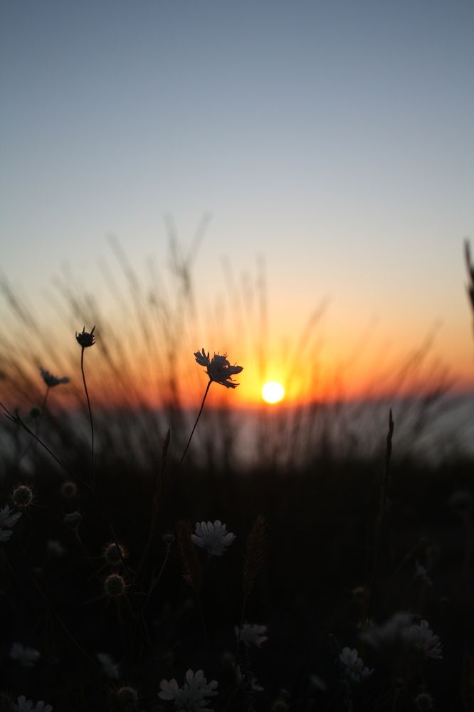 Photograph by Дянчик