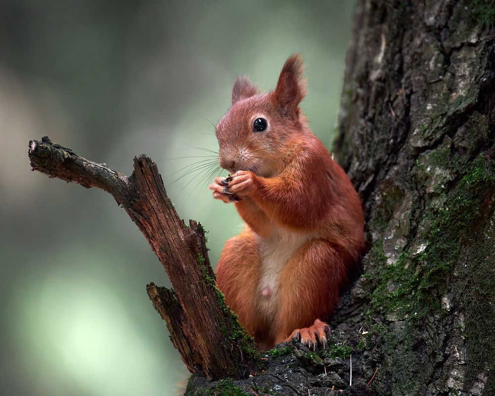 Photograph by Mikhail Khmelevskiy