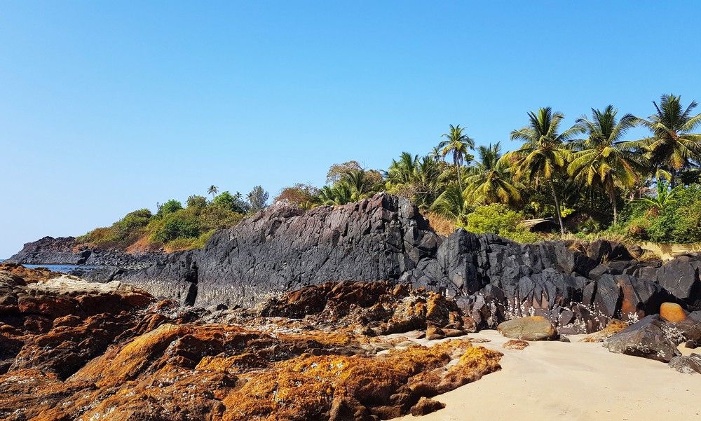 Фотография автора Максим Грибанов